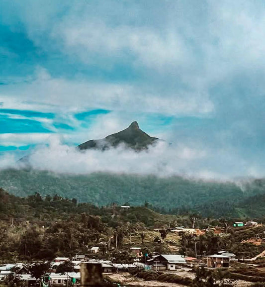 SANTA ROSA SUR DE BOLIVAR